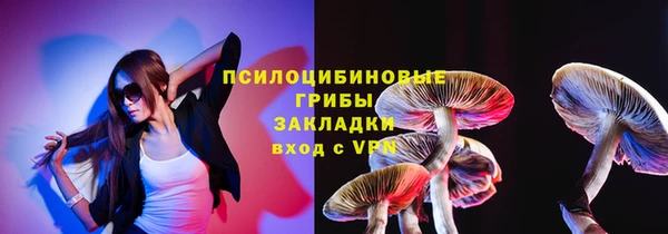 спайс Арсеньев