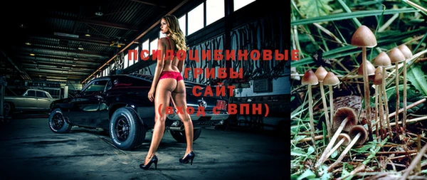 первитин Армянск