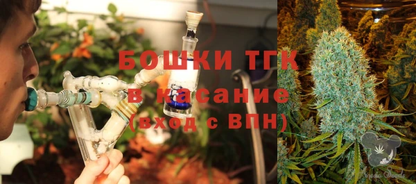 спайс Арсеньев